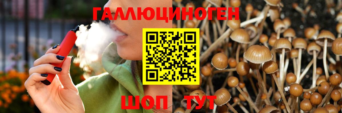 Лангепас  Галлюциногенные грибы Psilocybine cubensis  где продают наркотики  Вход с VPN 